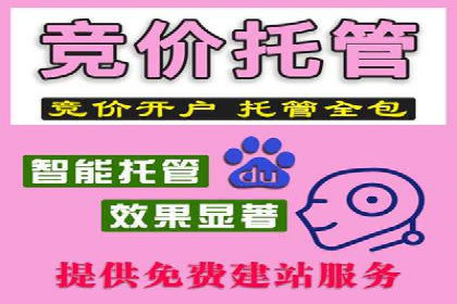 案例分析：SEM竞价代运营实现盈利增长